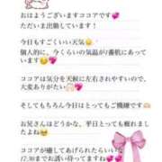 ヒメ日記 2025/04/12 10:16 投稿 ココア マテリアル