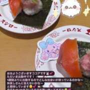 ヒメ日記 2025/04/25 10:16 投稿 ココア マテリアル