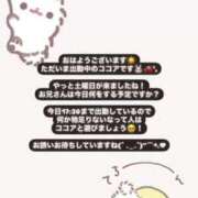 ヒメ日記 2025/04/26 10:16 投稿 ココア マテリアル