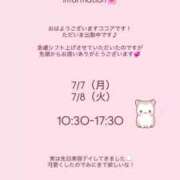 ヒメ日記 2025/07/07 10:16 投稿 ココア マテリアル