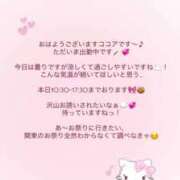 ヒメ日記 2025/07/11 10:16 投稿 ココア マテリアル