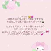 ヒメ日記 2025/07/14 23:16 投稿 ココア マテリアル