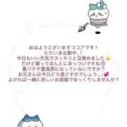 ヒメ日記 2025/07/19 10:16 投稿 ココア マテリアル