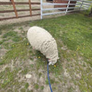 ヒメ日記 2025/05/13 23:55 投稿 まなつ 妄想倶楽部