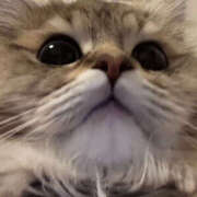 ヒメ日記 2025/09/13 18:22 投稿 まなつ 妄想倶楽部