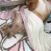 ヒメ日記 2025/05/17 22:46 投稿 藤堂 ひかる 白夜