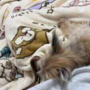 ヒメ日記 2025/06/16 22:35 投稿 藤堂 ひかる 白夜