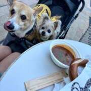 ヒメ日記 2025/12/04 13:48 投稿 藤堂 ひかる 白夜