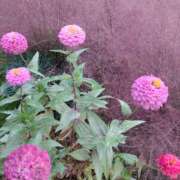 ヒメ日記 2025/10/19 13:28 投稿 瑠璃みつり 美魔女エステ