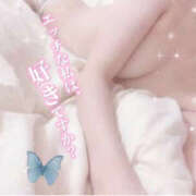 ヒメ日記 2024/12/20 13:10 投稿 なのか 姫コレクション