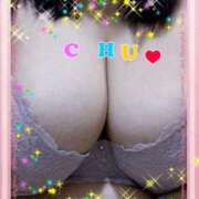 ヒメ日記 2024/12/29 11:58 投稿 細川ふみ 大阪ぽっちゃり妻