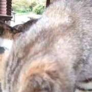 ヒメ日記 2025/05/28 22:48 投稿 紗友里 久留米デリヘルセンター