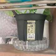 ヒメ日記 2025/12/05 00:16 投稿 紗友里 久留米デリヘルセンター