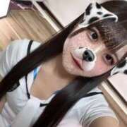 ヒメ日記 2025/04/04 15:18 投稿 サオリ 千葉美女革命