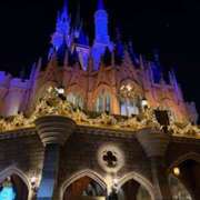 ヒメ日記 2026/02/19 21:12 投稿 佐々木みな Flamingo（王子）