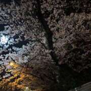 ヒメ日記 2026/04/02 15:13 投稿 佐々木みな Flamingo（王子）