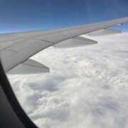 ヒメ日記 2026/04/02 15:15 投稿 佐々木みな Flamingo（王子）