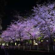 ヒメ日記 2026/04/04 21:55 投稿 佐々木みな Flamingo（王子）