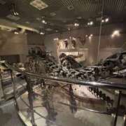 ヒメ日記 2026/04/17 01:07 投稿 佐々木みな Flamingo（王子）