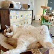 ヒメ日記 2024/12/24 17:15 投稿 リリア 沖縄素人図鑑