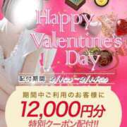 ヒメ日記 2025/02/01 13:57 投稿 ハズキ Celeb Garden(セレブガーデン)