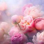 ヒメ日記 2024/12/27 15:03 投稿 りょう ファーストレディ(博多)