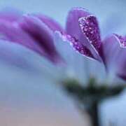 ヒメ日記 2024/12/28 00:32 投稿 りょう ファーストレディ(博多)