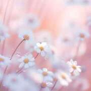 ヒメ日記 2025/01/18 09:03 投稿 りょう ファーストレディ(博多)