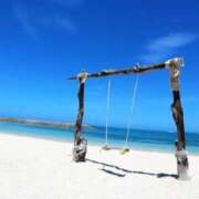 ヒメ日記 2025/01/18 23:52 投稿 りょう ファーストレディ(博多)