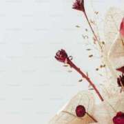 ヒメ日記 2025/02/14 07:13 投稿 りょう ファーストレディ(博多)