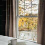 ヒメ日記 2025/02/18 10:03 投稿 りょう ファーストレディ(博多)