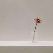 ヒメ日記 2025/03/16 09:42 投稿 りょう ファーストレディ(博多)