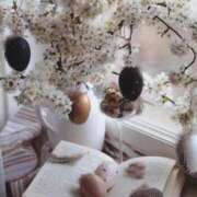 ヒメ日記 2025/04/01 11:42 投稿 りょう ファーストレディ(博多)