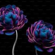 ヒメ日記 2025/04/12 00:32 投稿 りょう ファーストレディ(博多)