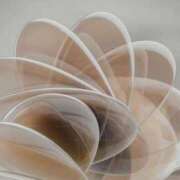 ヒメ日記 2025/04/28 08:22 投稿 りょう ファーストレディ(博多)