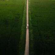 ヒメ日記 2025/10/24 23:52 投稿 りょう ファーストレディ(博多)