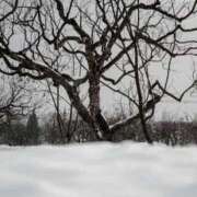 ヒメ日記 2025/11/24 22:12 投稿 りょう ファーストレディ(博多)