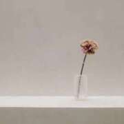 ヒメ日記 2025/12/07 03:42 投稿 りょう ファーストレディ(博多)