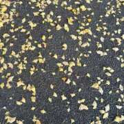 ヒメ日記 2025/12/09 23:56 投稿 りょう ファーストレディ(博多)