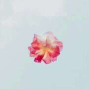 ヒメ日記 2025/12/28 00:52 投稿 りょう ファーストレディ(博多)