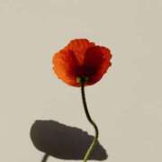 ヒメ日記 2026/03/01 00:12 投稿 りょう ファーストレディ(博多)