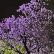 ヒメ日記 2026/04/06 13:42 投稿 りょう ファーストレディ(博多)