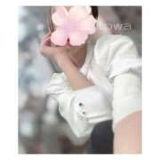 ヒメ日記 2025/11/14 00:06 投稿 とわ ごほうびSPA千葉店