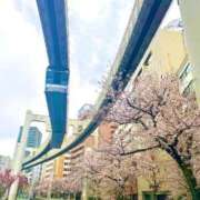 ヒメ日記 2025/04/06 15:46 投稿 あかり ごほうびSPA千葉店