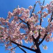 ヒメ日記 2026/02/22 12:06 投稿 あかり ごほうびSPA千葉店