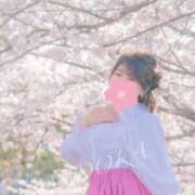 ヒメ日記 2026/03/22 08:16 投稿 まどか ごほうびSPA千葉店