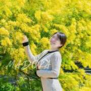 ヒメ日記 2026/03/31 12:46 投稿 まどか ごほうびSPA千葉店