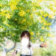 ヒメ日記 2026/05/29 07:06 投稿 まどか ごほうびSPA千葉店