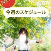 ヒメ日記 2026/07/14 07:16 投稿 まどか ごほうびSPA千葉店