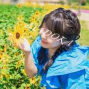 ヒメ日記 2026/08/12 17:06 投稿 まどか ごほうびSPA千葉店